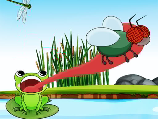 Fly Feast 2025