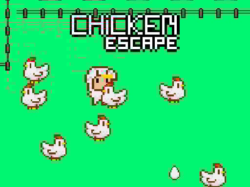 Chickens on the Loose 2025